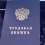 В России появится новый индикатор риска подмены трудовых отношений с самозанятыми - Мечетлинский район